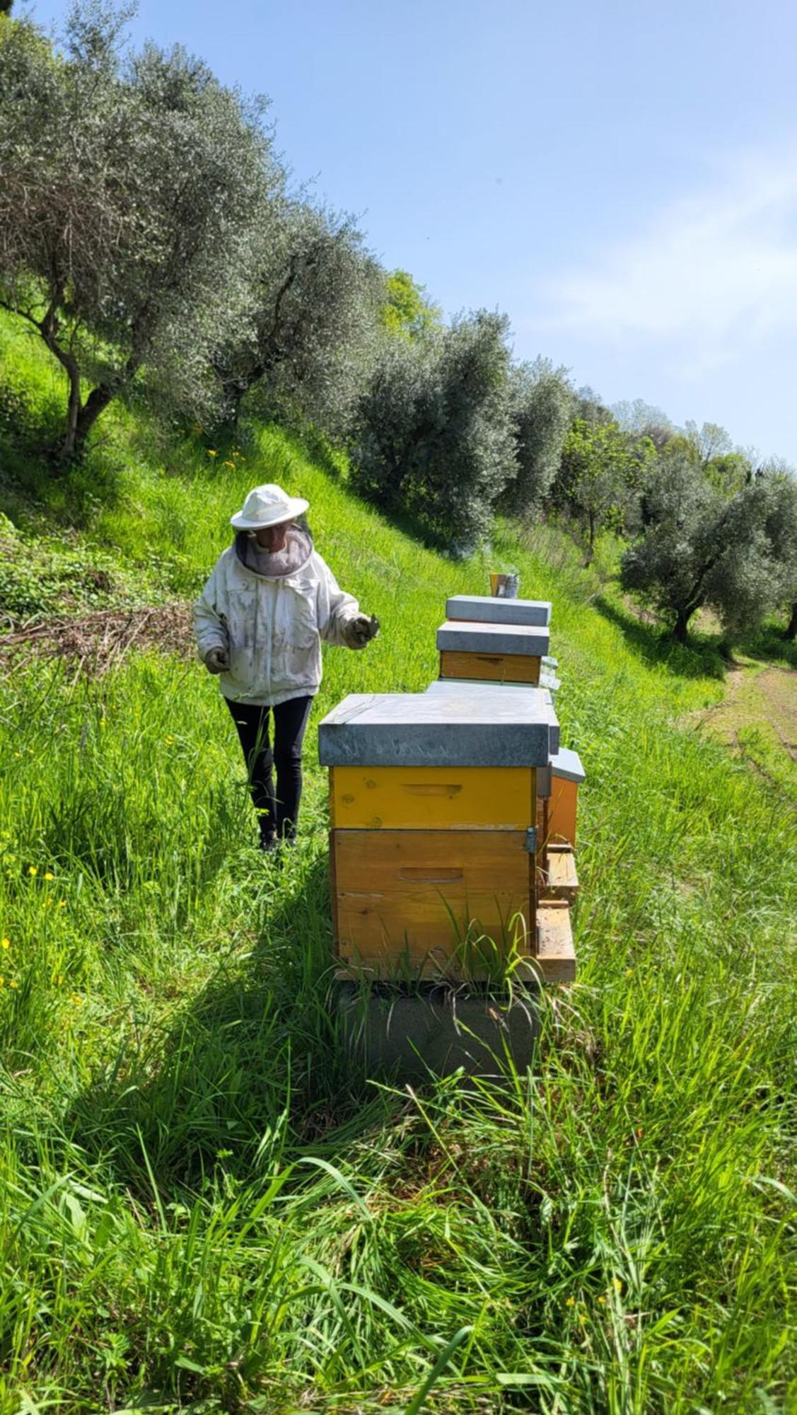 Agriturismo Podere Nigriano Salò Εξωτερικό φωτογραφία